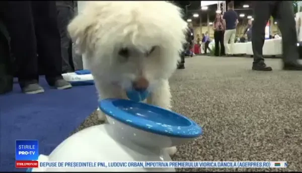 Gadgeturi special create pentru animalele de companie, la un târg de profil din Las Vegas