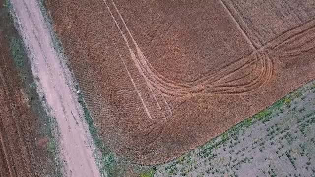 Fermierii care primesc bani de la UE ar putea fi verificați prin satelit