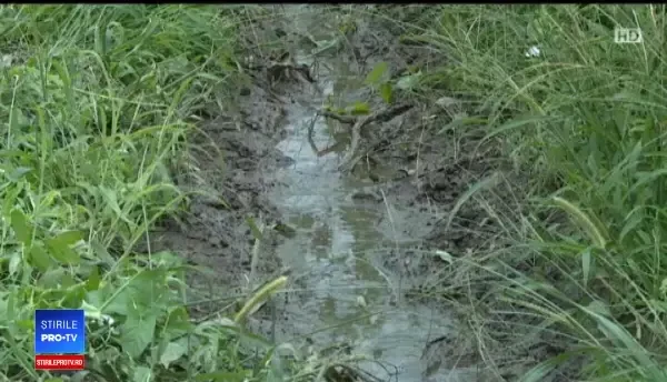 Avertismentul specialiștilor: de ce nu trebuie consumate fructele crăpate