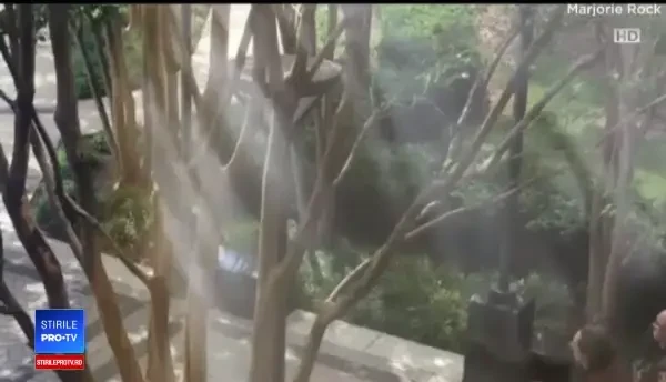 Autorul atacului din redacţia Capital Gazette voia să omoare cât mai mulți oameni