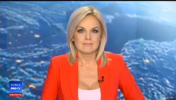 O pisică din Norvegia a ajuns, din greșeală, în Islanda. Cu ce a