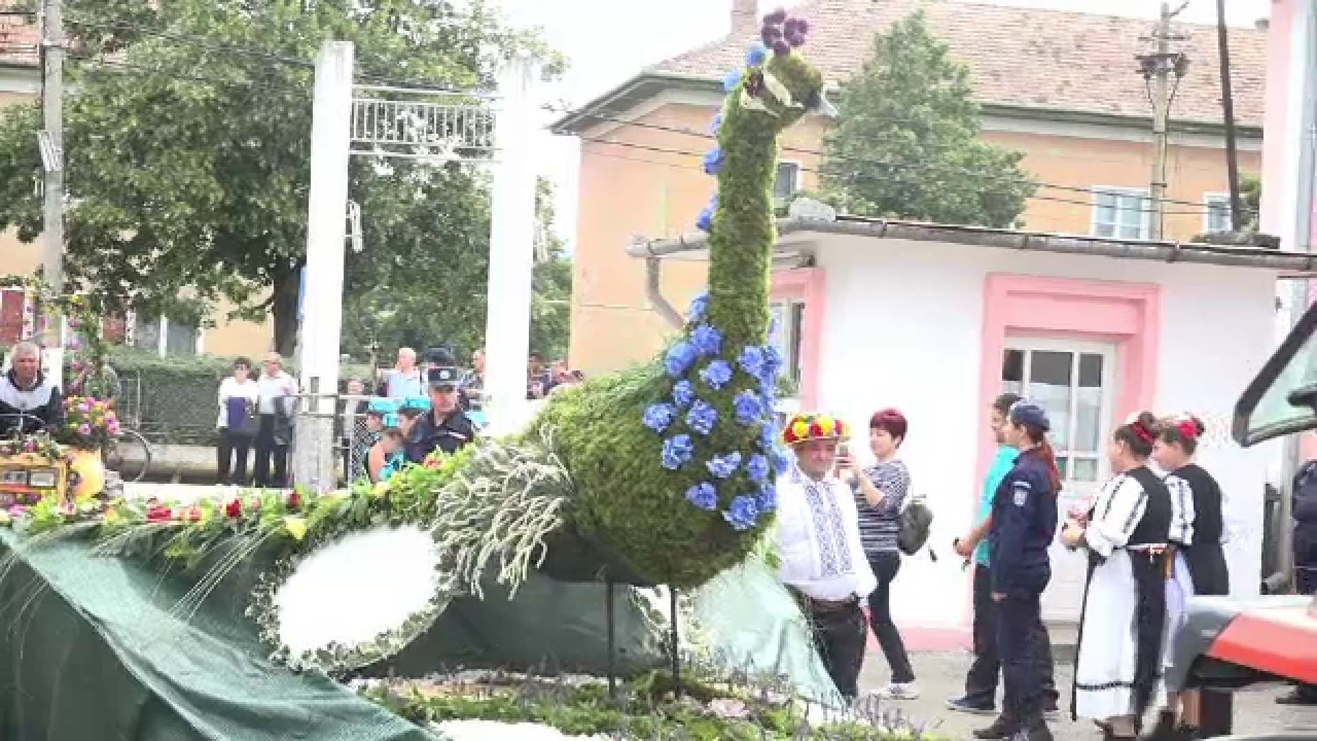 Festivalul rozelor