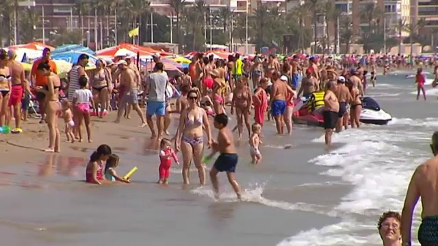 Autoritățile, în alertă: cea mai periculoasă specie de meduză a fost găsită pe plajă