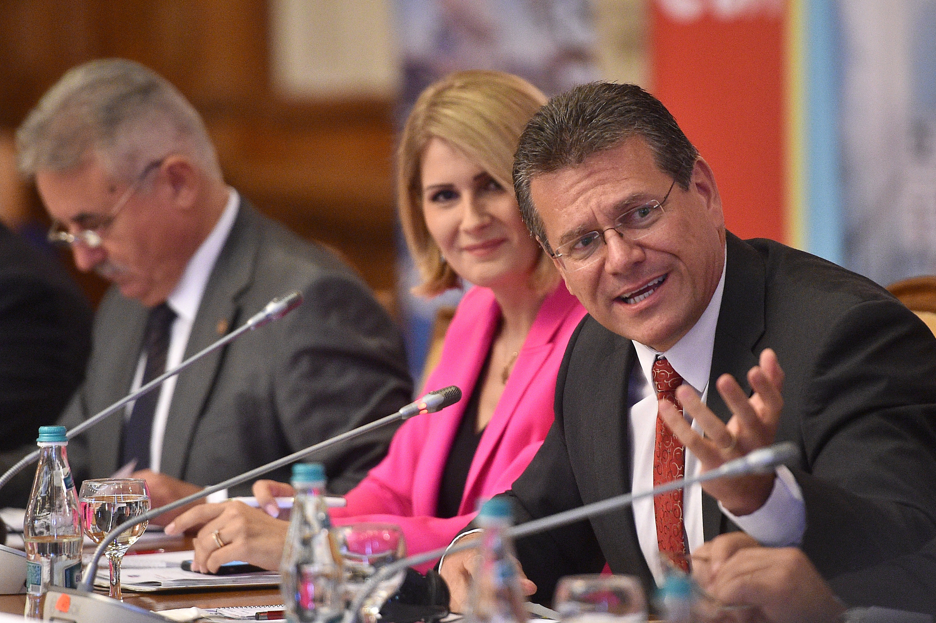 Vicepreşedinte CE: România trebuie să decidă până la finele anului