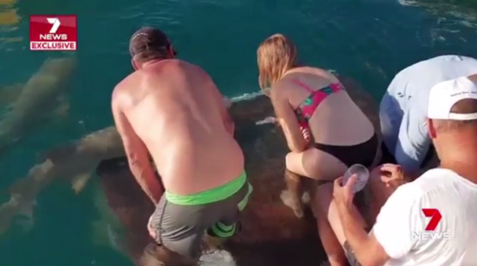 Pățania unei tinere care a încercat să hrănească un rechin