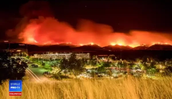 Stare de urgenţă în California. Incendiile de vegetaţie au mistuit aproape 90 de kilometri pătraţi