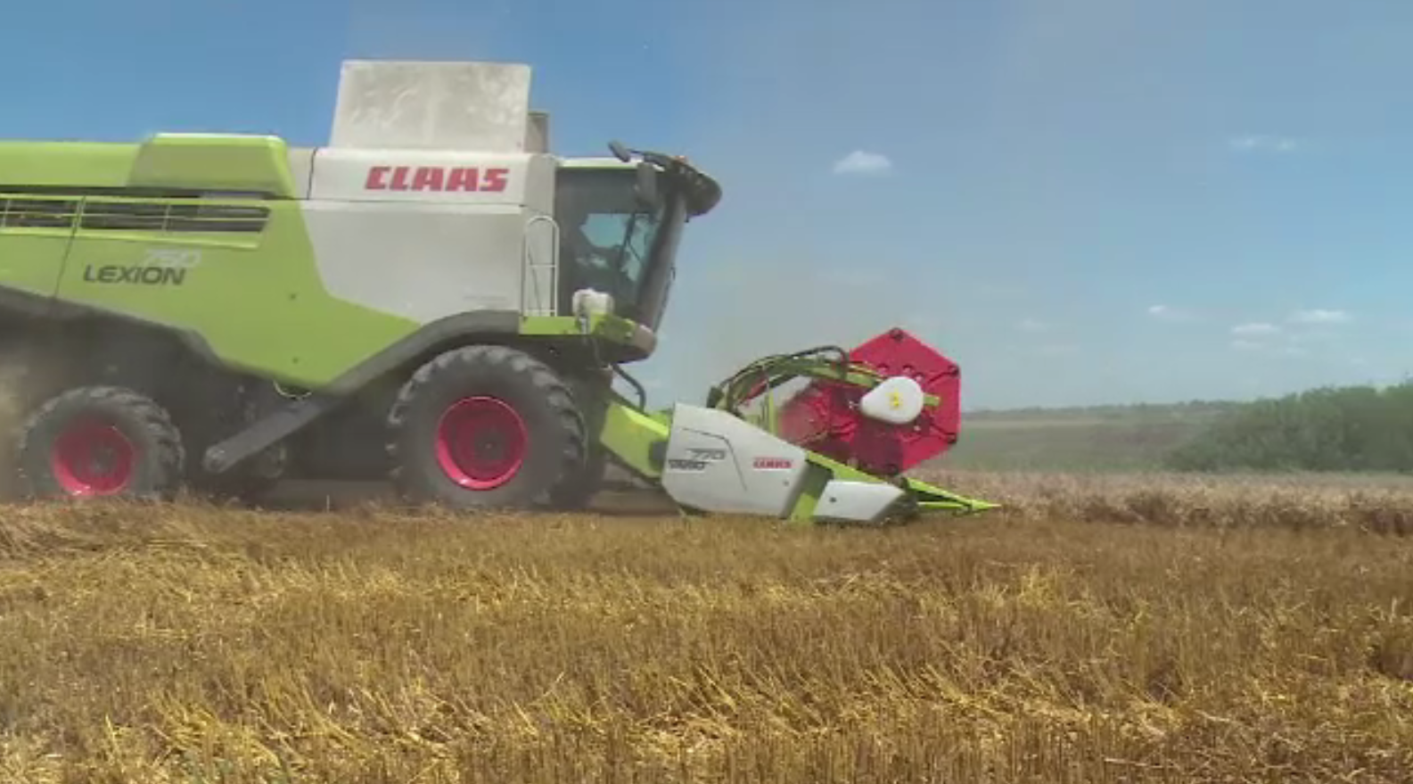 Salarii de 2000 de euro pentru angajații din agricultură. Ce condiții trebuie să îndeplinească