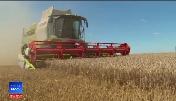 Salarii de 2000 de euro pentru angajații din agricultură. Ce condiții trebuie să îndeplinească