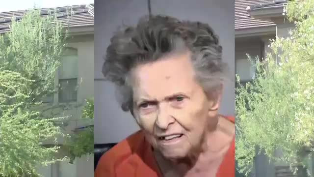 La 92 de ani şi-a împuşcat mortal fiul din cauză că voia să o ducă la azil