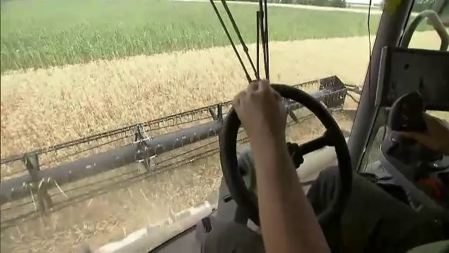 Culturile din Europa, afectate grav de secetă. Fermele sunt în pericol