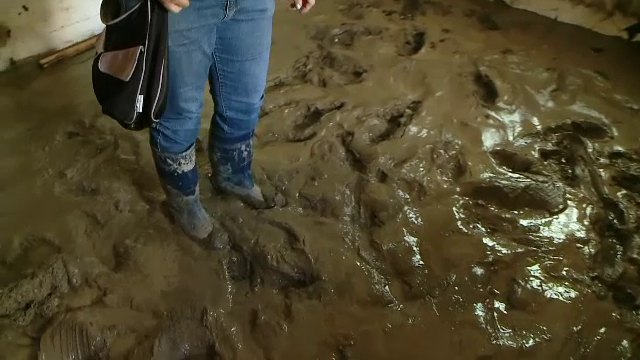 judete, asigurari, case, dezastru, inundatii,