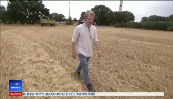 Culturile din Europa, afectate grav de secetă. Fermele sunt în pericol