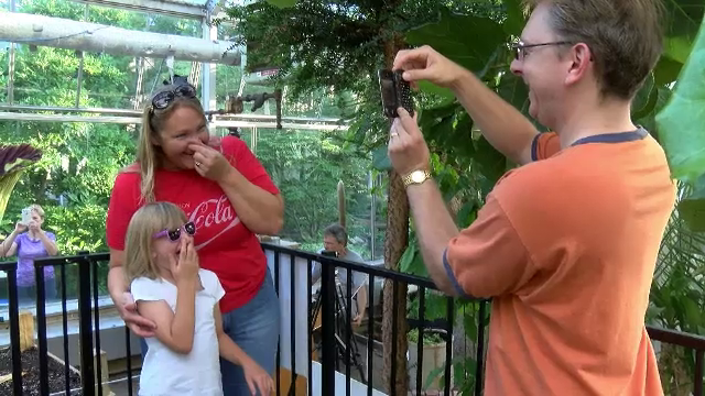 Cum arată floarea-cadavru. Oamenii s-au pozat ținându-se de nas lângă ea