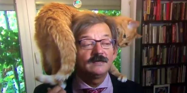 O pisică intervine în timpul interviului despre agenții secrete și conspirații. Reacția stăpânului