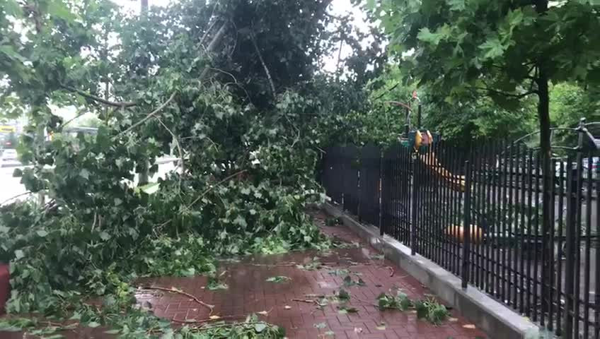 furtuna in Bucuresti