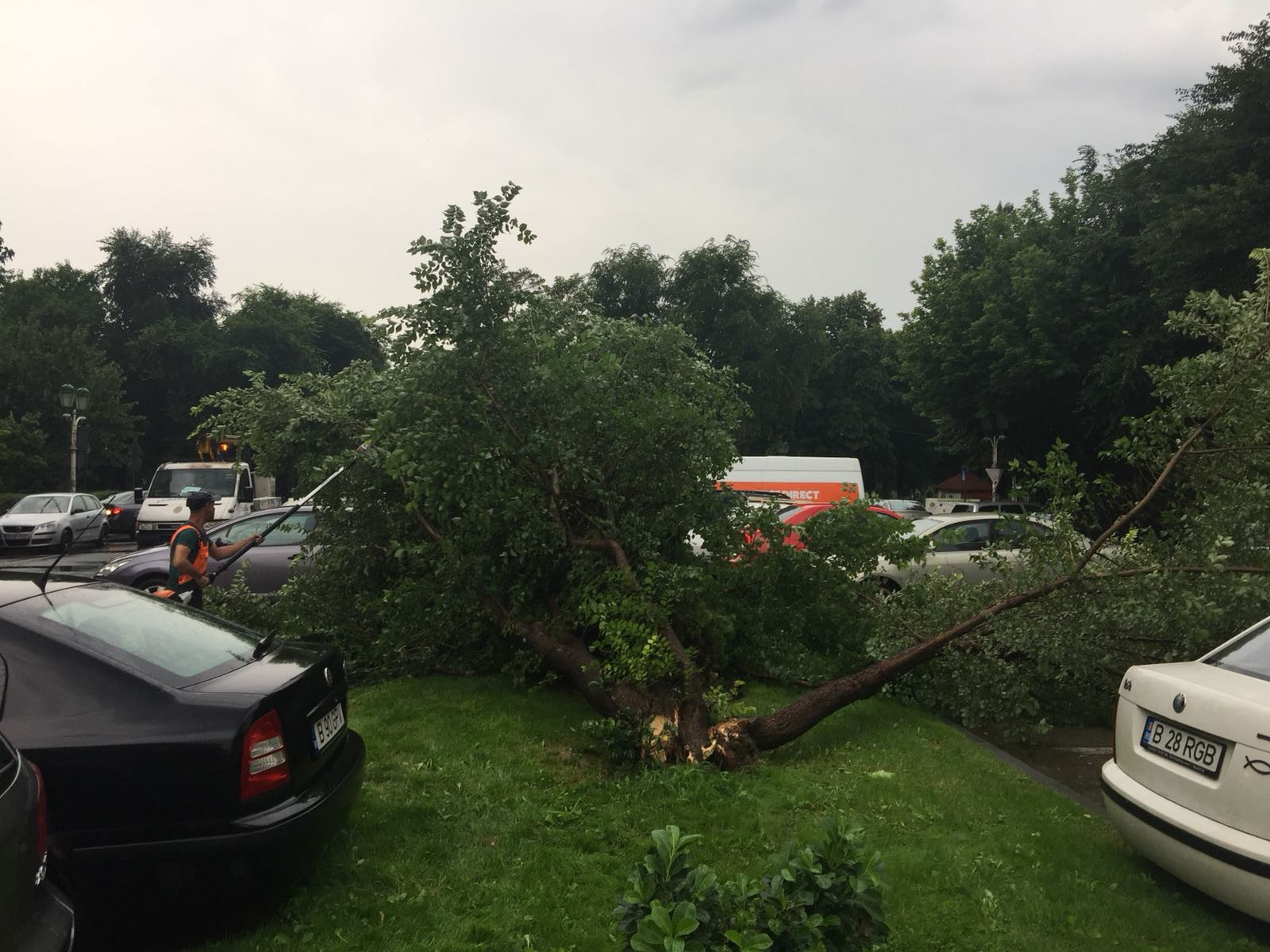 furtuna in Bucuresti