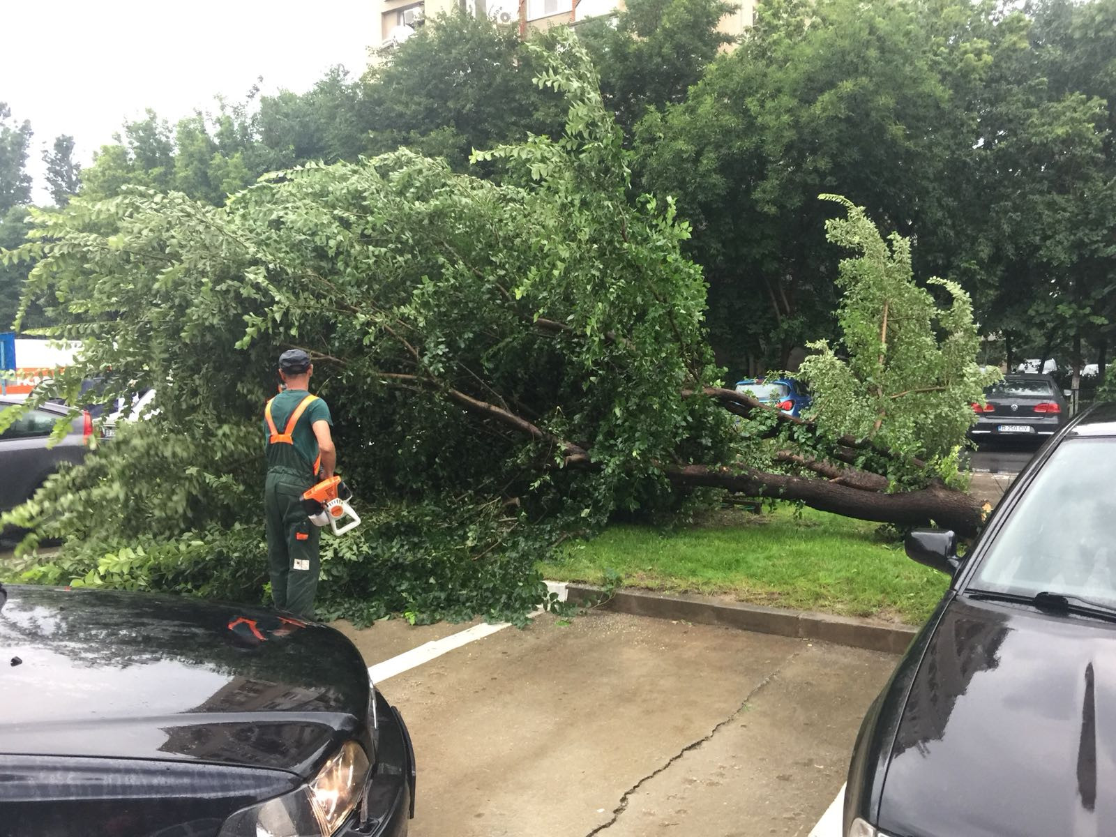 furtuna in Bucuresti