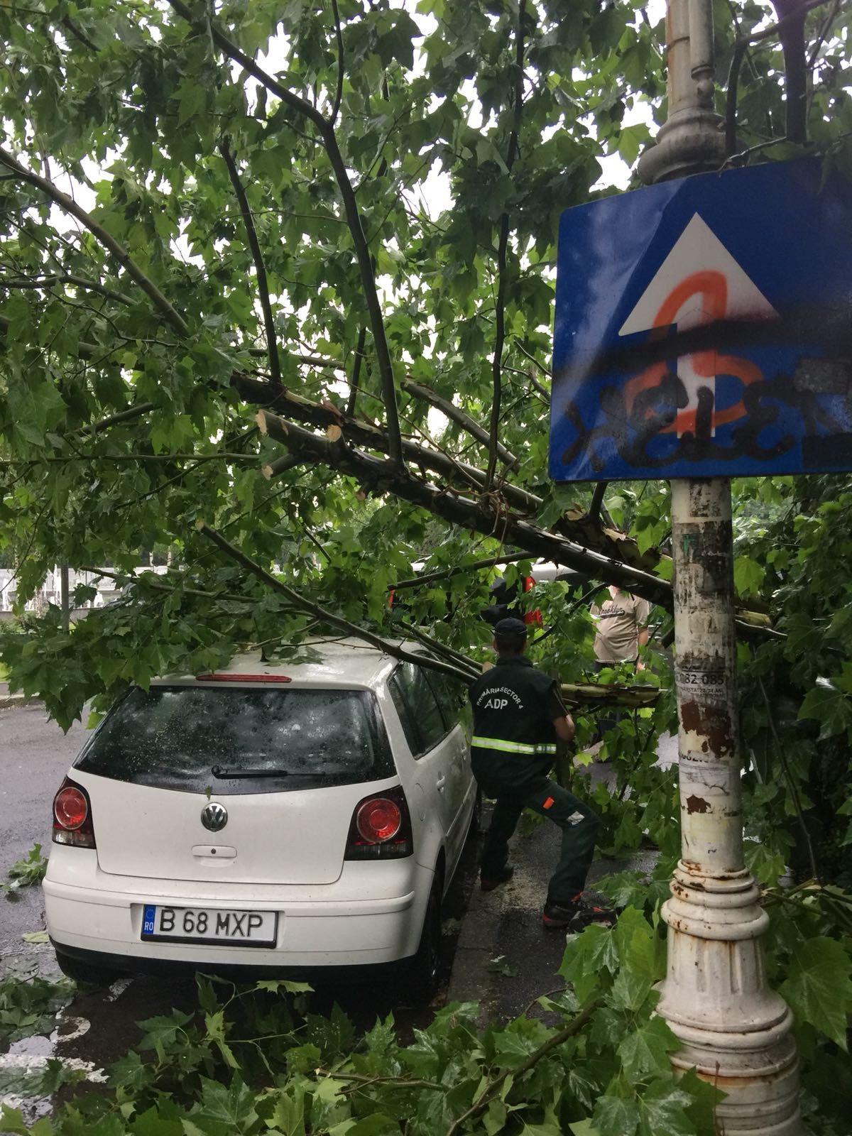 furtuna in Bucuresti