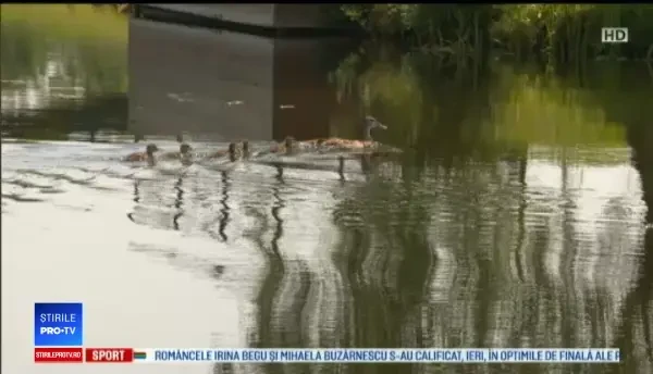 Tot mai mulți turiști vin să admire cea mai tânără deltă din Europa: Delta Neajlovului