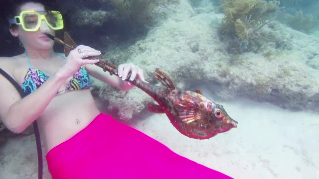 Singurul festival muzical subacvatic din lume