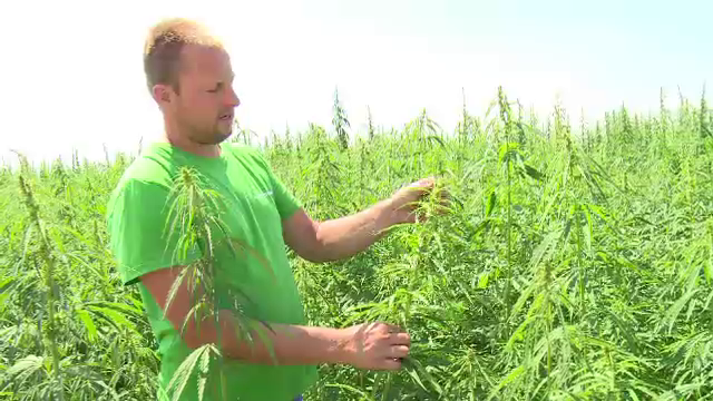 Afacerea cu care 2 olandezi au dat lovitura în România. 70.000 de euro profit într-un an