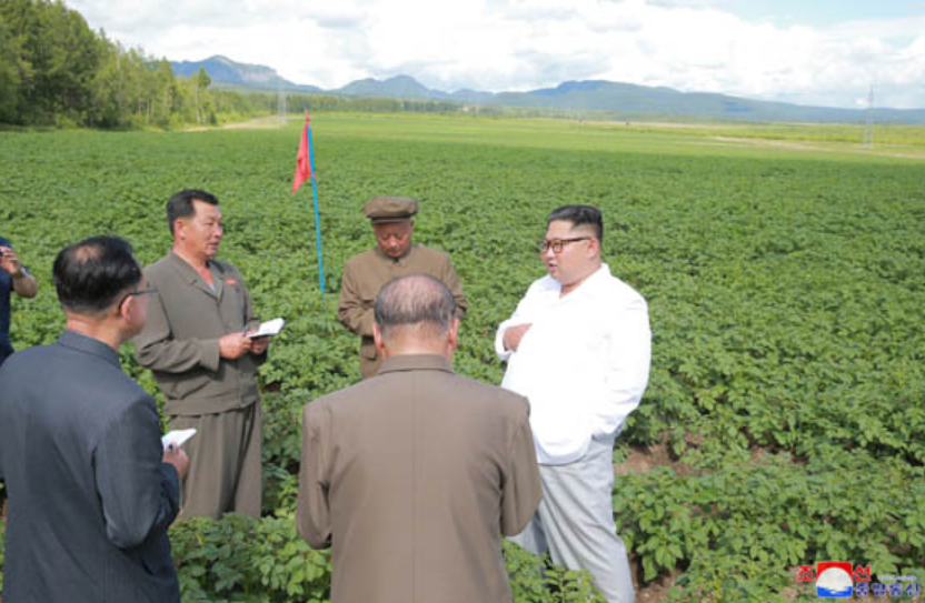 Kim Jong-un pe o plantatie de cartofi