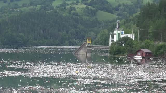Dezastru ecologic în Bicaz. Primar: ”Îmi vine să urlu, să mă arunc în apă”