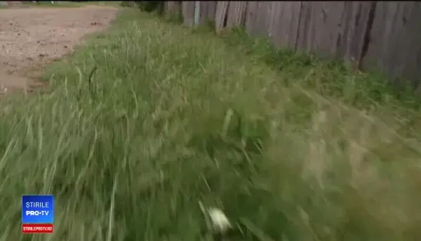 Scene şocante în Iaşi. Doi fraţi s-au luat la ceartă, iar unul dintre ei a fost înjunghiat