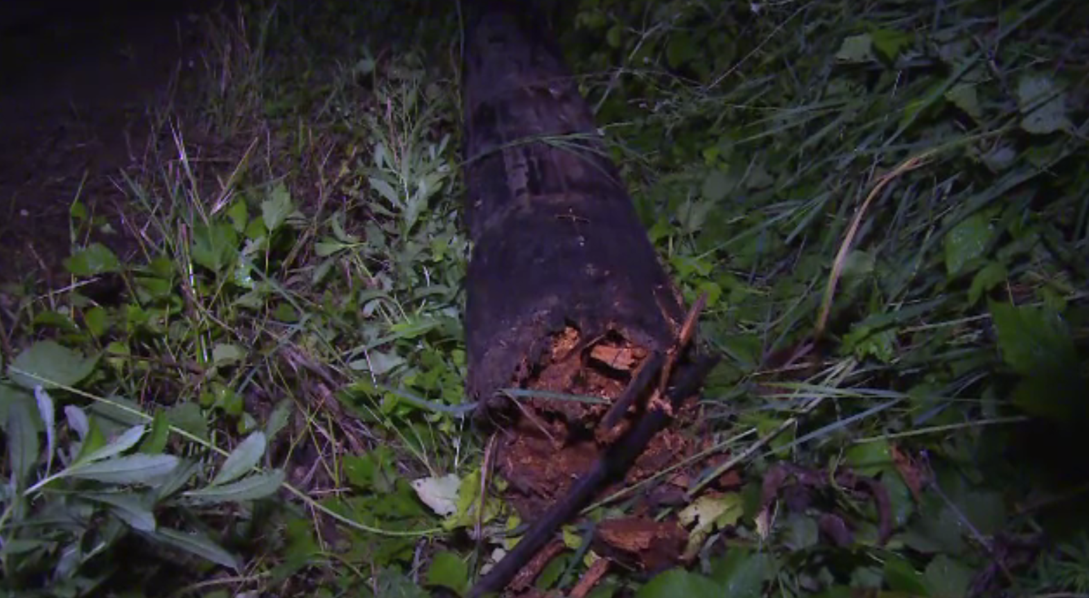 I-a căzut un stâlp în cap, în timp ce se îndrepta spre casă cu bicicleta. Starea victimei