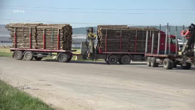 Veste proastă pentru români. Prețul lemnelor de foc ar putea crește din iarnă