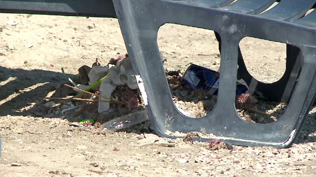 Vrem „o plajă ca afară” dar pe cele de la noi le sufocăm în gunoaie. Turiștii lasă în urmă zeci de kilograme de deșeuri pe zi