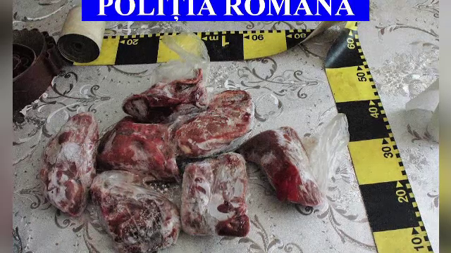 Percheziții la braconieri: polițiștii au găsit carne de porc mistreț într-un frigider
