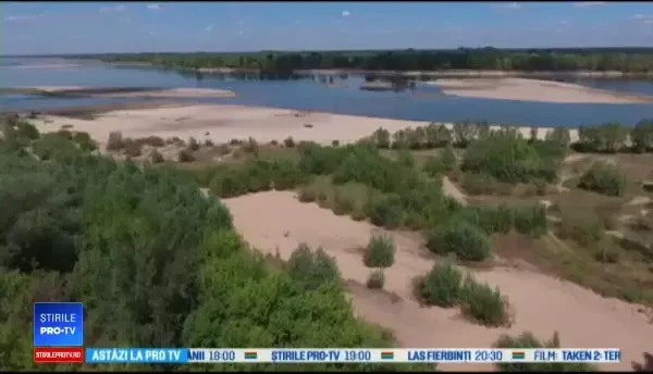 Un piton de aproape 6 metri a creat panică în câteva localități. Autoritățile îl caută