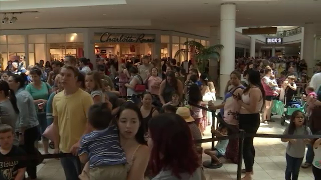 Au așteptat 7 ore ca să cumpere o jucărie de pluș. Oferta care a stârnit isterie