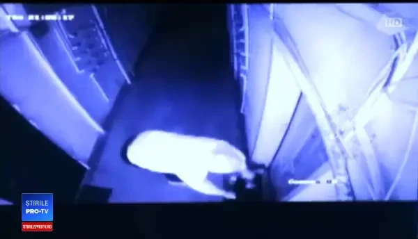 Terorizați de un piroman.