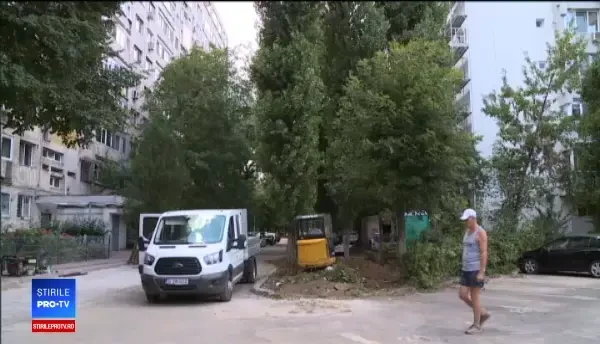 Copacii din București, uciși lent, pentru a face parcări. Aceștia se pot prăbuși peste oameni