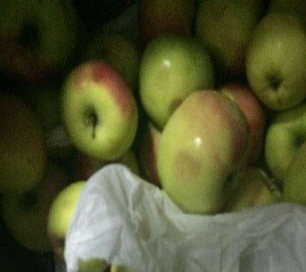 O moldoveancă a rămas fără mere la Vamă. Mirosul care i-a alertat pe poliţişti