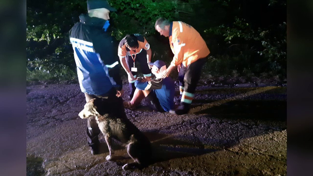 Câinele care a păzit un biciclist accidentat pe munte a fost adoptat