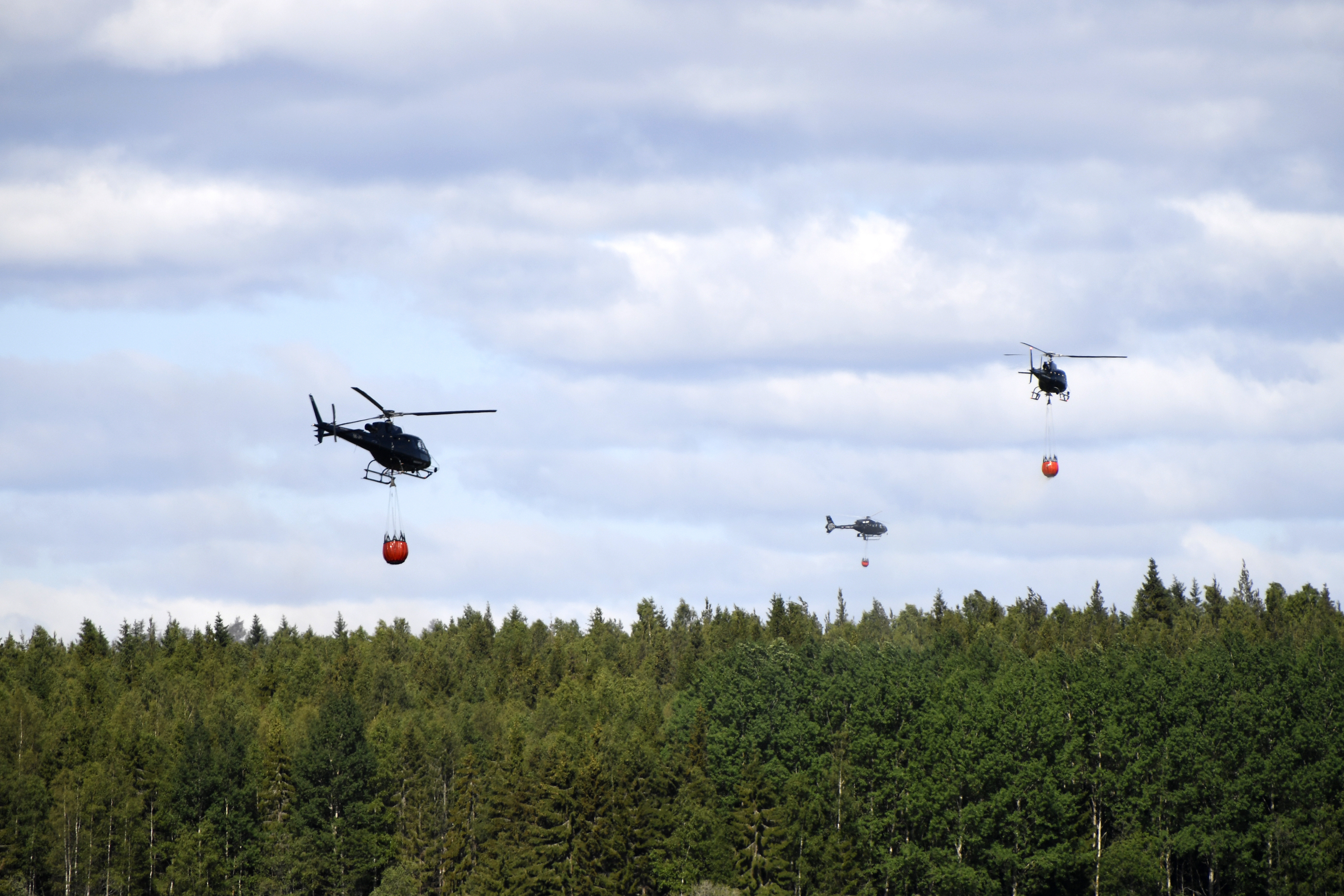 Fenomene nemaîntâlnite la Cercul Arctic, din cauza caniculei. Suedia cere ajutor