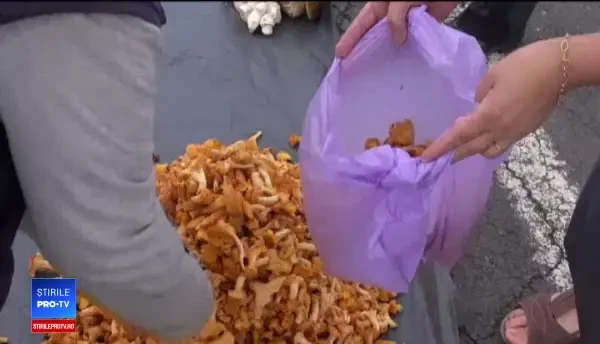 Atenție la consumul de ciuperci. Pericolele la care se expun cei care cumpără de pe stradă