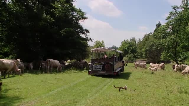 "Ţinutul Vulcanilor", locul din România unde se fac safari-uri