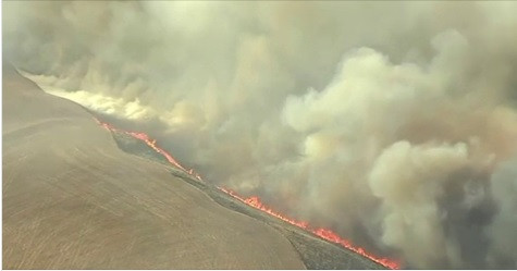 Fenomen extrem de grav care afecteaza Cercul Polar. Suedezii au cerut ajutor extern