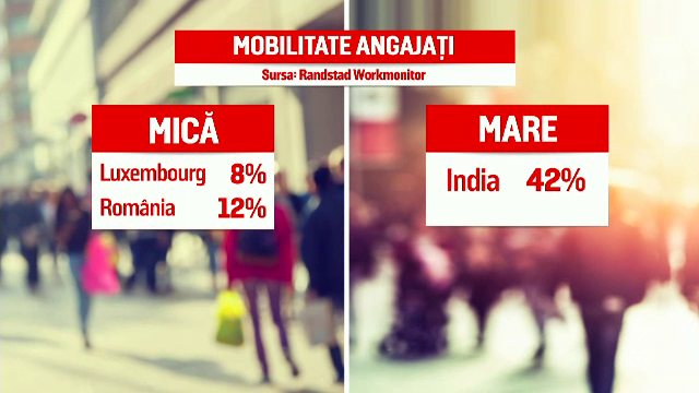 Românii, fideli locului de muncă și colegi buni. Rezultatele surprinzătoare ale unui studiu
