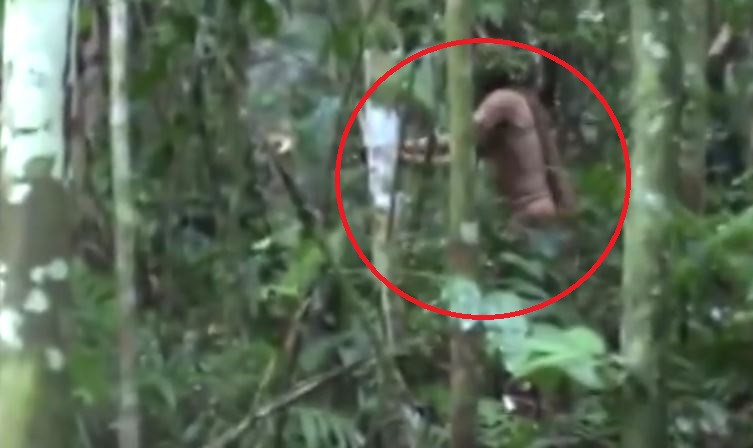 Ultimul supraviețuitor al unui trib izolat din Amazon, surprins într-o filmare. VIDEO