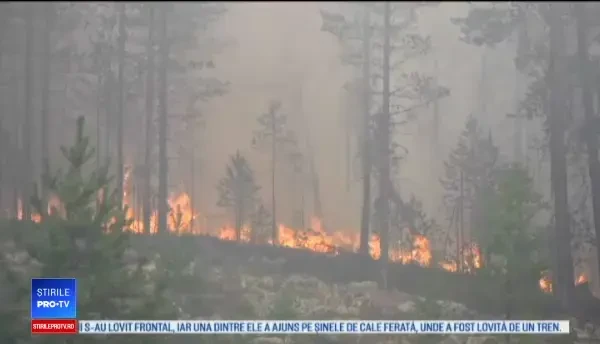 Fenomen extrem de grav care afectează Cercul Polar. Suedezii au cerut ajutor extern