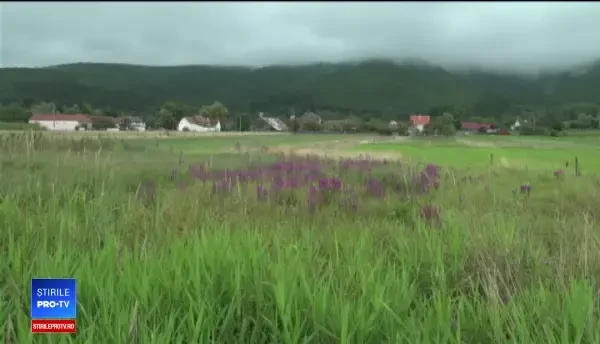 Bărbat din Brașov omorât în bătaie de hoții pe care i-a prins la furat pe proprietatea lui