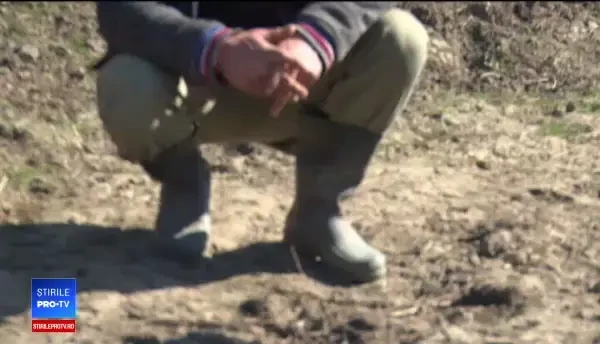 Poveste înfiorătoare în Vaslui. O bunică şi-a salvat nepoata de 6 ani din mâinile unui vecin