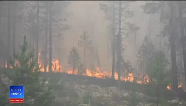 Fenomen extrem de grav care afectează Cercul Polar. Suedezii au cerut ajutor extern