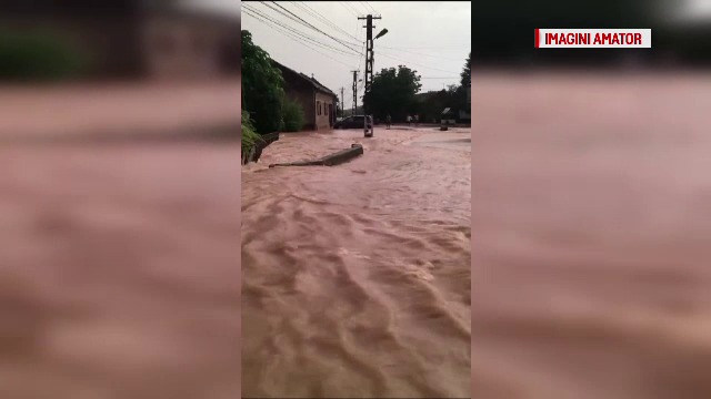 Zeci de gospodării din Timiș, inundate. Apa a intrat în curți