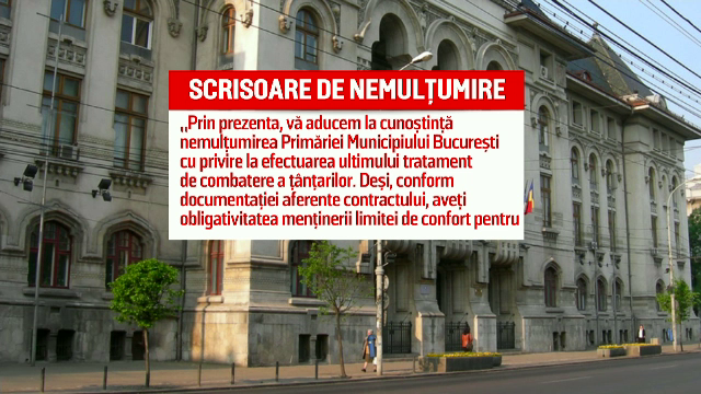 Scandalul ţânţarilor în Capitală. Cele două tipuri de insecte sunt purtătoare de virus WestNile